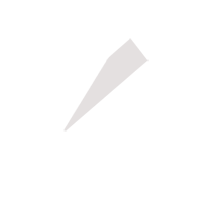 聊城临时保镖服务